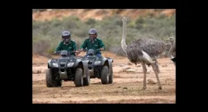 Quad Biking Gauteng, South Africa